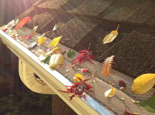 Colorful autumn leaves collected in a gutter, with sunlight shining on a shingled roof, highlighting the seasonal change and the importance of gutter maintenance.