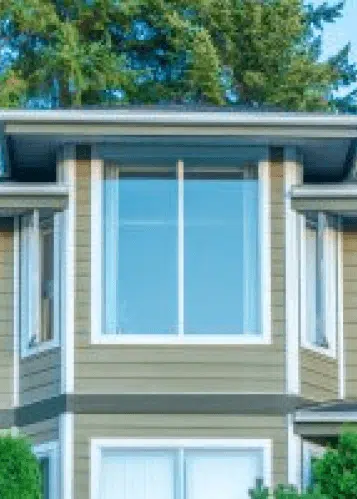 Modern bay window design on a residential building, showcasing a contemporary exterior with green siding and surrounding greenery.